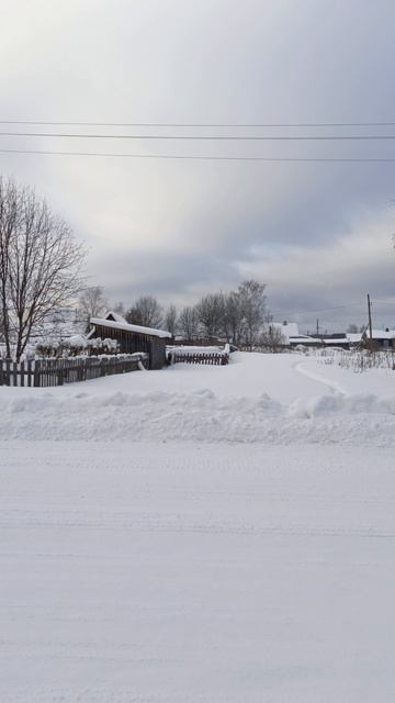 8 февраля 2026