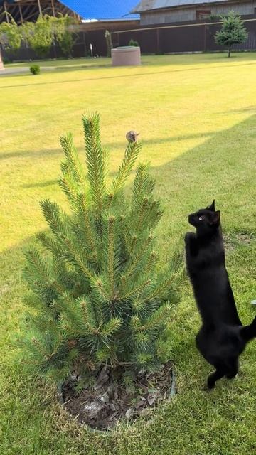 Хорошие место, чтобы спрятаться смотреть онлайн