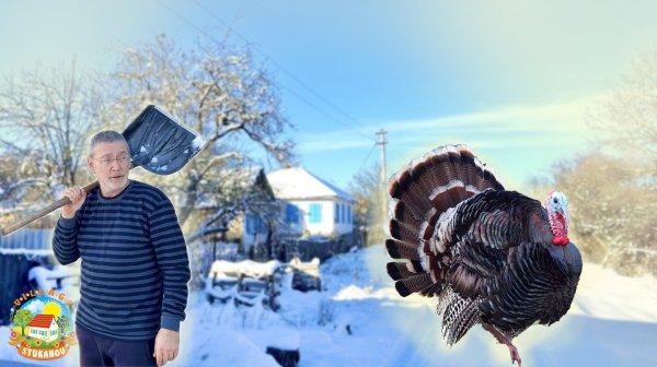 В нашем бывшем доме уже строится сауна😱