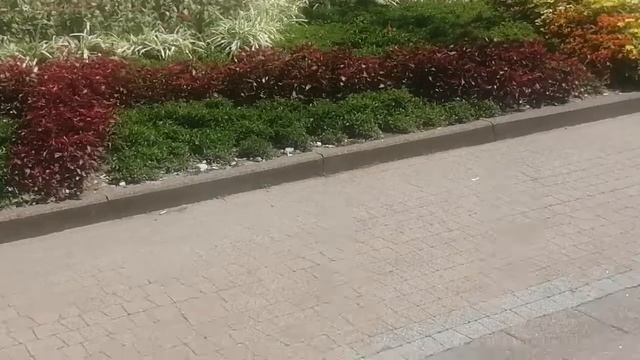 Архивное видео. Моя прогулка парк Ривьера смотреть онлайн