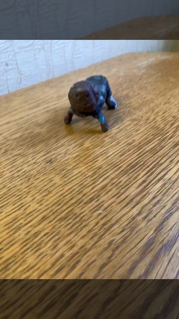 гугу гага стал чёрным