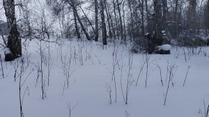 Стелс Капитан и Стелс Викинг по глубокому снегу