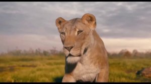 Муфаса Король Лев мультфильм нарезка для детей и детишек #2026
