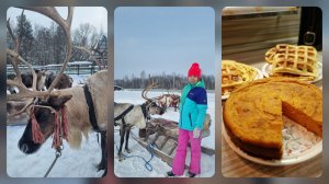 Где покататься  на Северных оленях, и рецепт на вечер