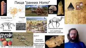 Станислав Дробышевский: История вкусной и здоровой пищи (№7)