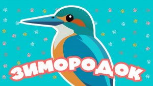 Творение учит нас | Зимородок