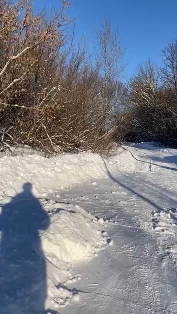 Зимние прогулки, снег хрустит.