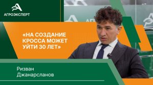 Российскому птицеводству не хватает высокопродуктивного кросса несушек