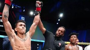 Баутиста Оливейра. Обзор турнира UFC Fight Night 266