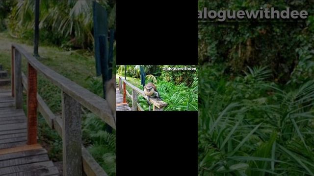 Nigeria Tourist Destination смотреть онлайн