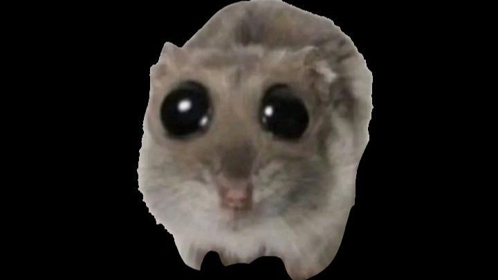 СПИДРАН ПО АМОНГ САСУ. смотреть онлайн