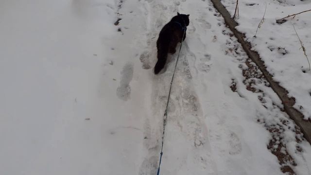 На обходе территории.