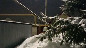 9.02.26. Необыкновенная радостная новость пришла в наш дом вечером 8 февраля. ❤❤❤😊😊