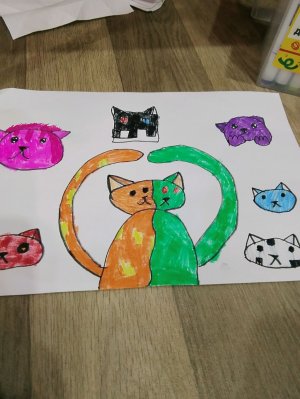 кошка она похоже на немного Белискаса