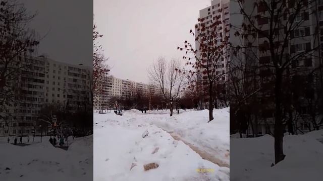 Moscow, Otradnoye district 06.02.2026