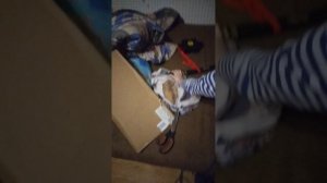 VID_20260203_204813.mp4