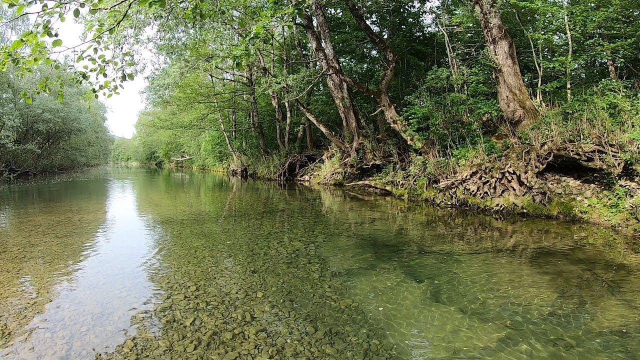 27/04/2024/ Голавль. Река Псекупс. Природа