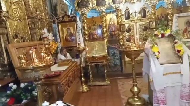 Неделя о блудном сыне. Собор новомучеников и исповедников Российских. Суздаль РПАЦ 08.02.2026 г смотреть онлайн