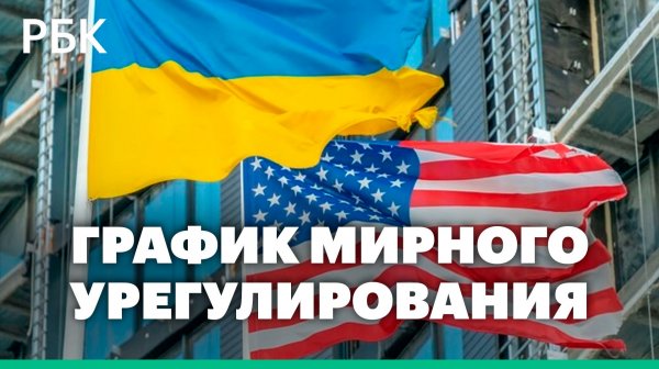 Reuters узнал, что США и Украина обсудили график референдума и выборов