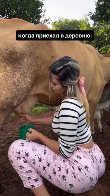 Когда приехал в деревню смотреть онлайн