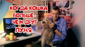 ЕЩЁ РАЗ О КОШКАХ,ЛУНЕ,ПУТЕШЕСТВИЕ С КОШКОЙ.КОШКА ЛУЧШИЙ ДРУГ😸🧡