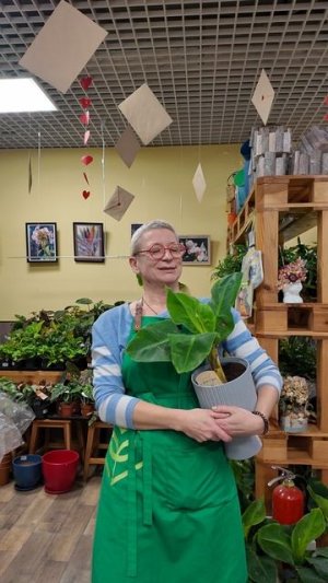 Где взять банан или что-то на экзотическом