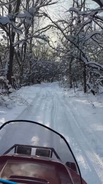Рысь 440 по лесу. смотреть онлайн