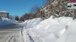 Как голосовали, так и живите. 9 февраля 2026. Поликлиника в снегу. Вместо тротуаров Козьи тропы.