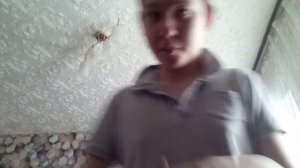 VID_20260208_121358.3gp