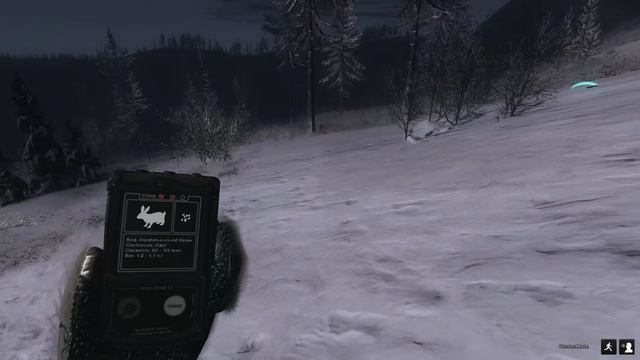 theHunter Classic - 2026-02-09 18-10-53