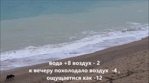 Сводка погоды за 8.02.26г. с пляжа Лбимовка-2