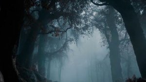 песня «ЗАКОНОМЕРНО»