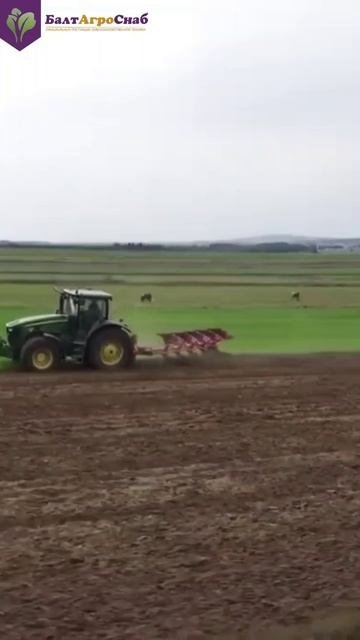 Оборотный плуг с рессорной защитой POН в работе 🚜 смотреть онлайн