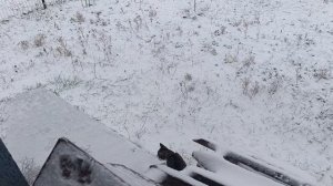 9.03.2026.Анапа Сегодня опять зима заглянула в гости.