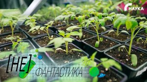 Аграрный прорыв: в Беларуси создали уникальный «эликсир плодородия»