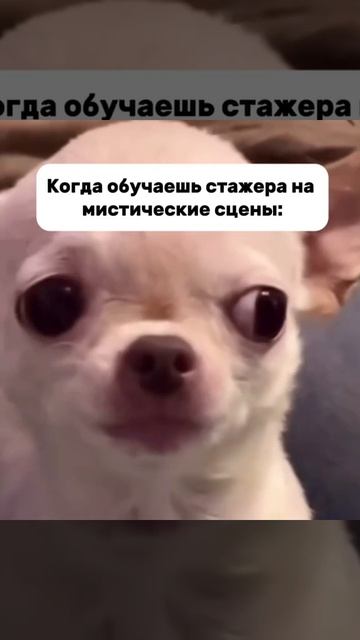 Типичное обучение