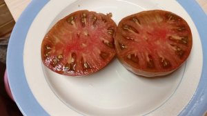 Томат Козула 186