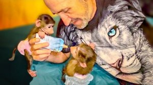 У нас ХОРОШАЯ НОВОСТЬ ветеринар-невролог согласился ОБСЛЕДОВАТЬ Маняшу!