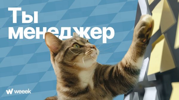 Ты - менеджер. Трейлер