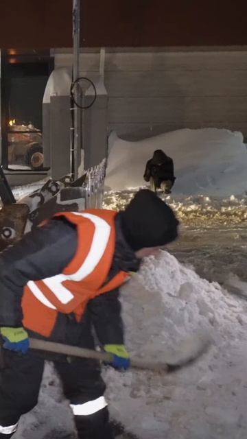 Какие изменения погоды ждать ставропольцам в феврале? смотреть онлайн