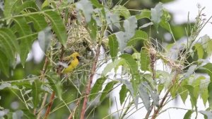 Тест рекламы 16