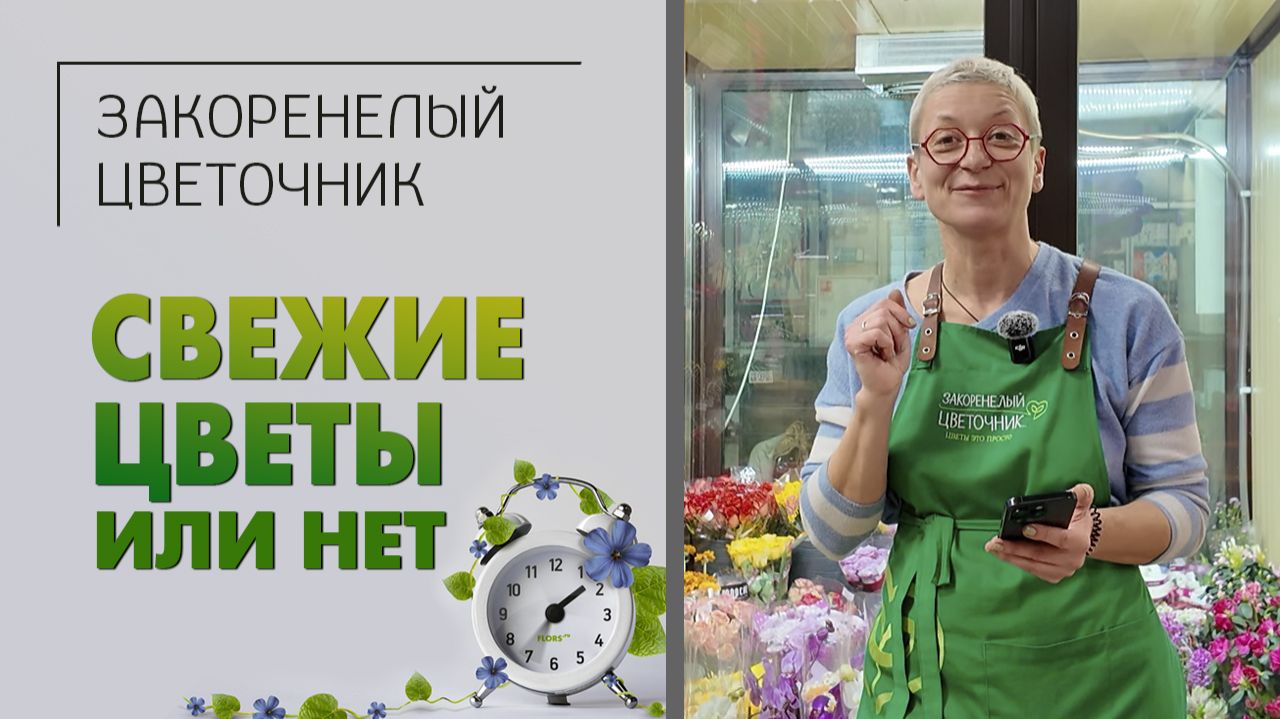 Свежие цветы или нет: как понять? Гарантия на срезанные цветы - существует ли она или это миф. смотреть онлайн