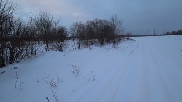 Ищем зайца . Охота в Ленинградской области сезон 2025-2026