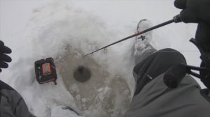 Рыбалка на судака. Озеро Волго Тверская область (февраль 2026)