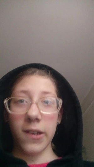 делаю уроки