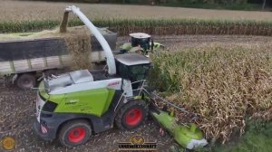 Здесь Jaguar 980 может работать на полную мощность, собирая 3 метра кукурузы и 45 тонн / га кукурузы