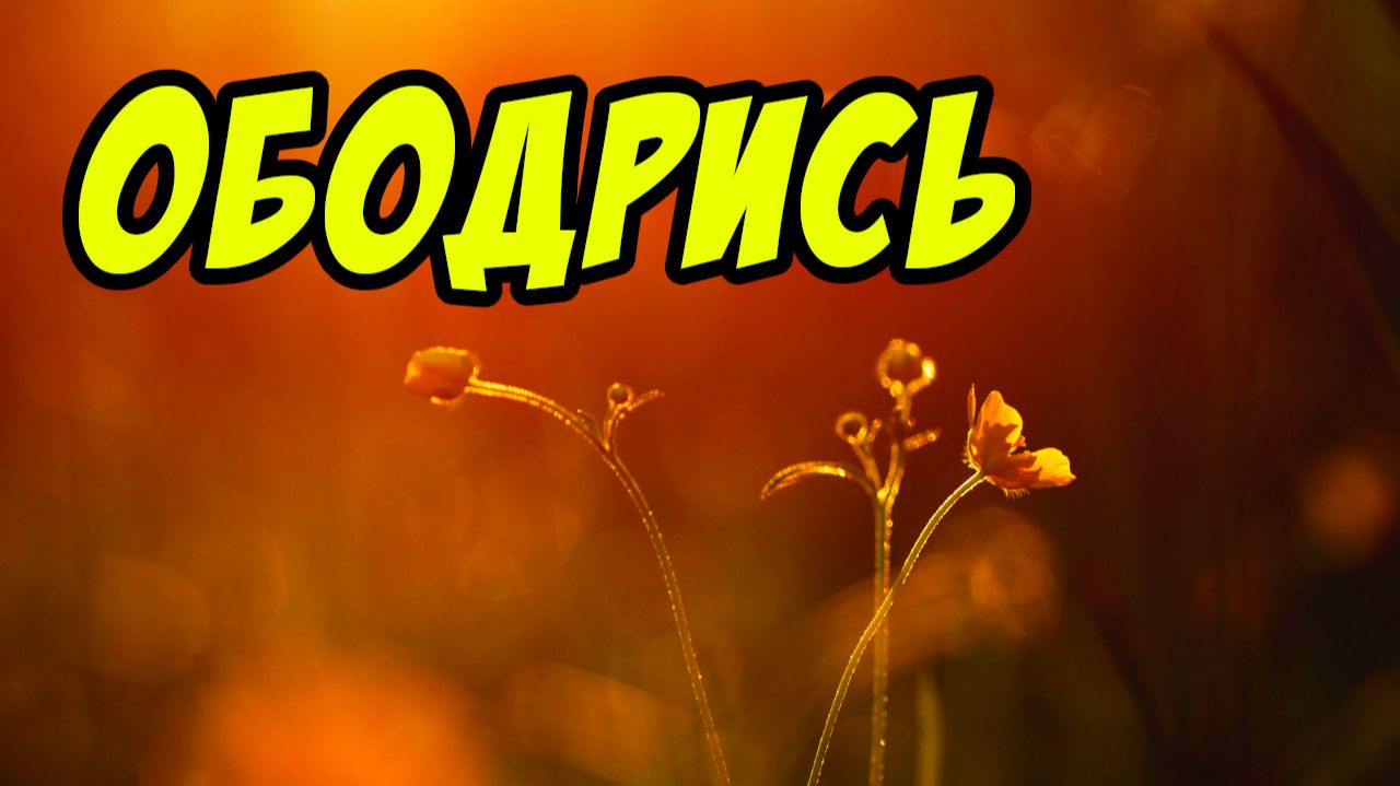 Ободрись - Дмитрий Беспалов. Христианские проповеди смотреть онлайн