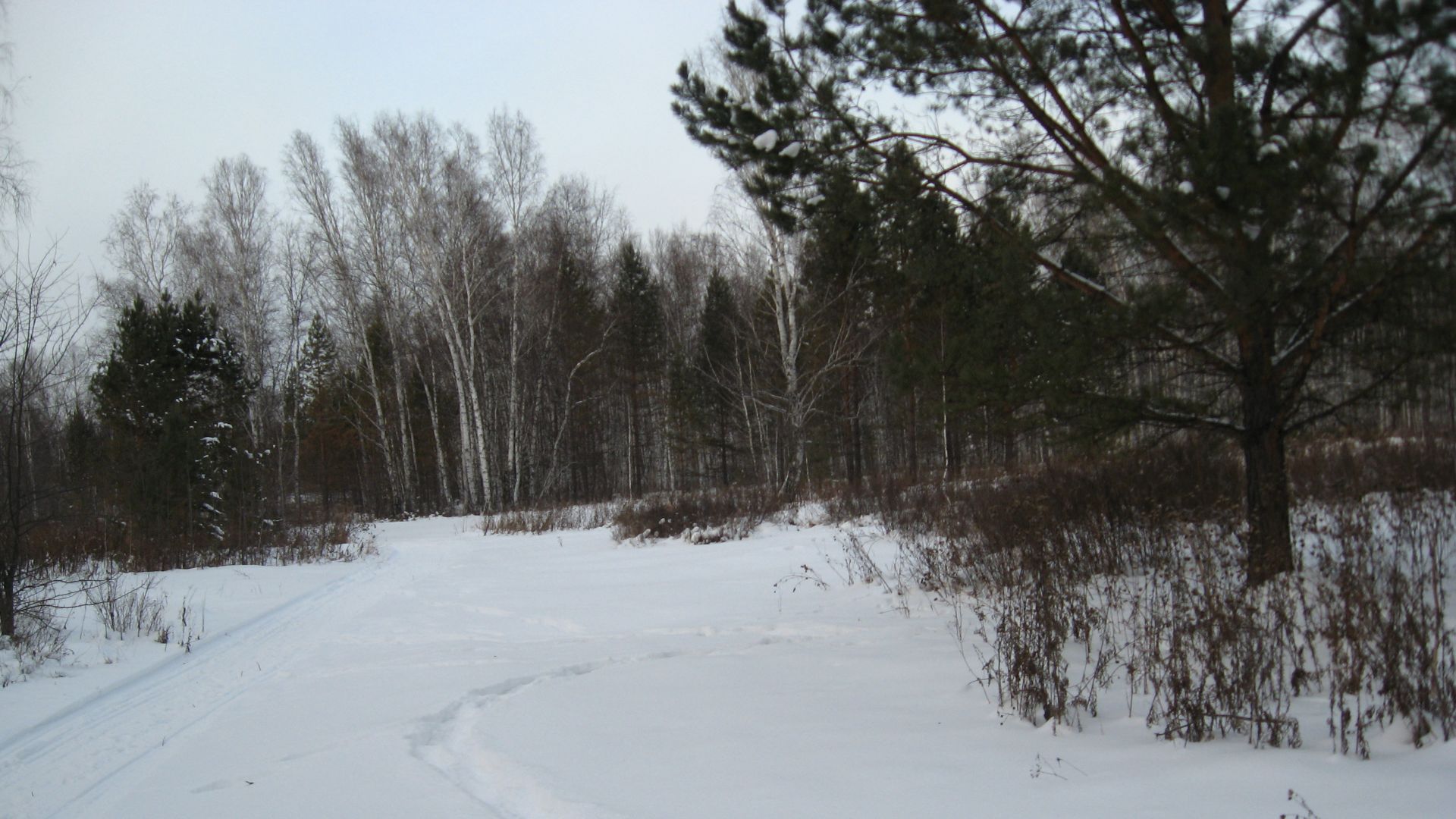 Зимняя рапсодия