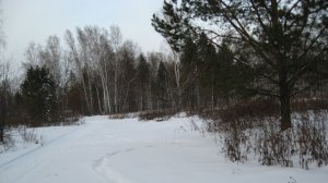 Зимняя рапсодия