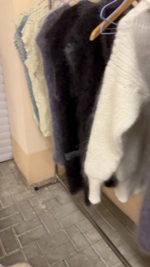 project-2026-02-09 10:22:00.3590